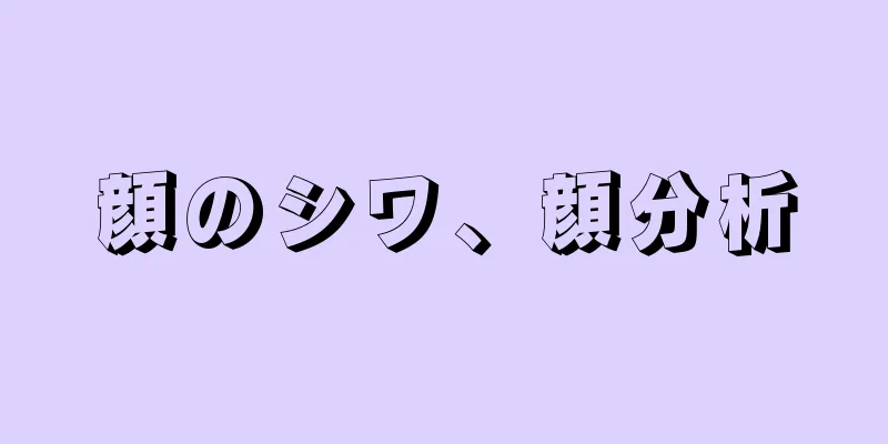 顔のシワ、顔分析