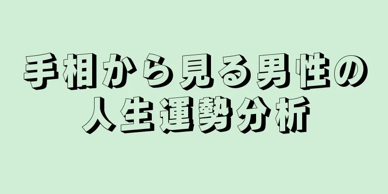 手相から見る男性の人生運勢分析