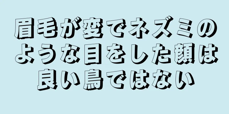 眉毛が変でネズミのような目をした顔は良い鳥ではない