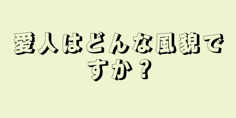 愛人はどんな風貌ですか？