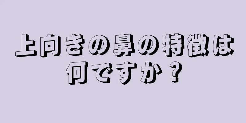 上向きの鼻の特徴は何ですか？