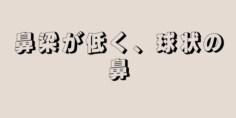 鼻梁が低く、球状の鼻