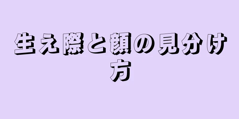 生え際と顔の見分け方