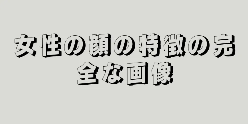 女性の顔の特徴の完全な画像