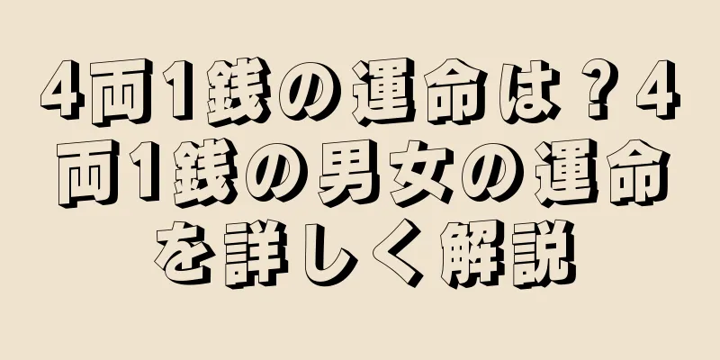 4両1銭の運命は？4両1銭の男女の運命を詳しく解説