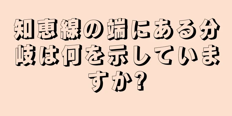 知恵線の端にある分岐は何を示していますか?