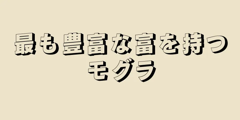 最も豊富な富を持つモグラ