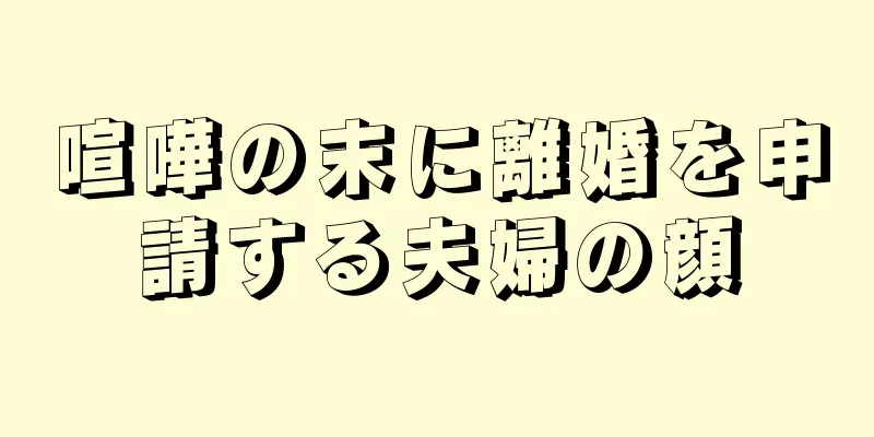 喧嘩の末に離婚を申請する夫婦の顔