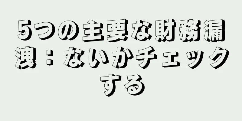 5つの主要な財務漏洩：ないかチェックする