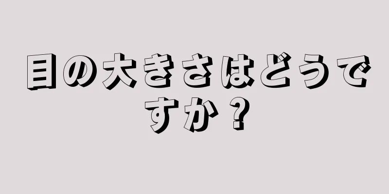 目の大きさはどうですか？