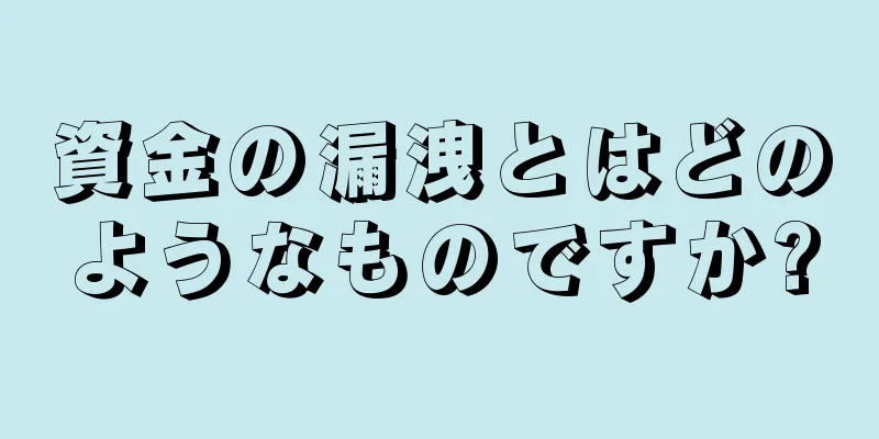 資金の漏洩とはどのようなものですか?