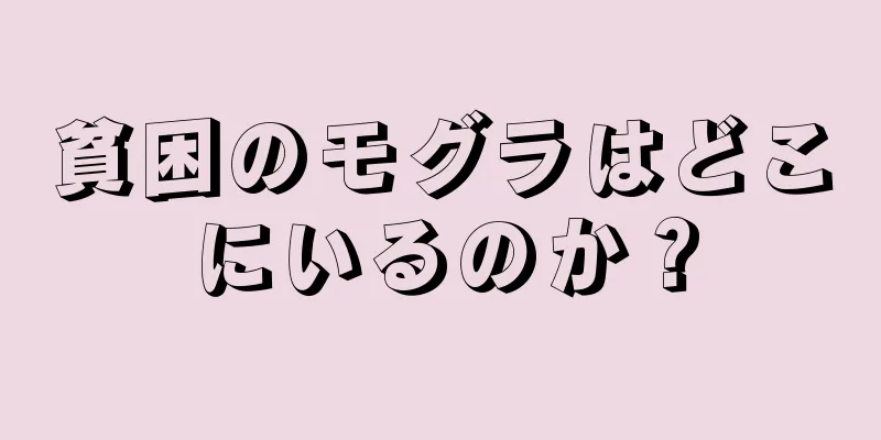 貧困のモグラはどこにいるのか？