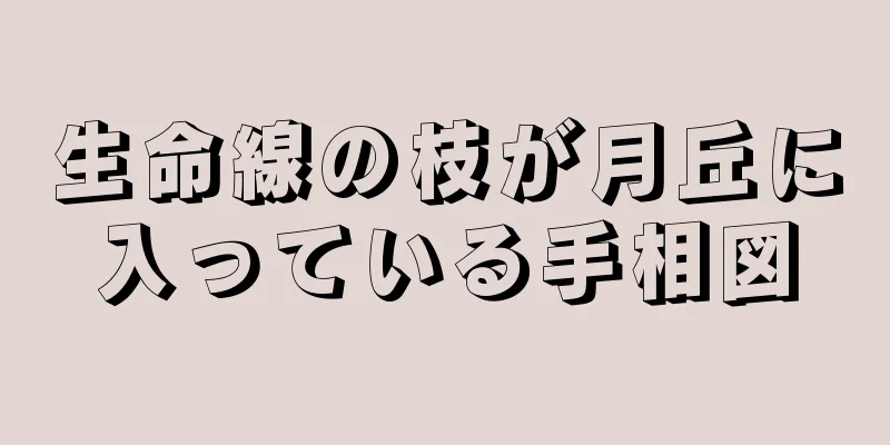 生命線の枝が月丘に入っている手相図