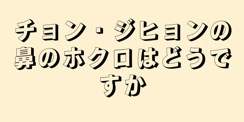 チョン・ジヒョンの鼻のホクロはどうですか