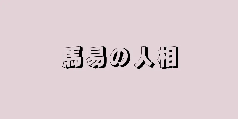 馬易の人相