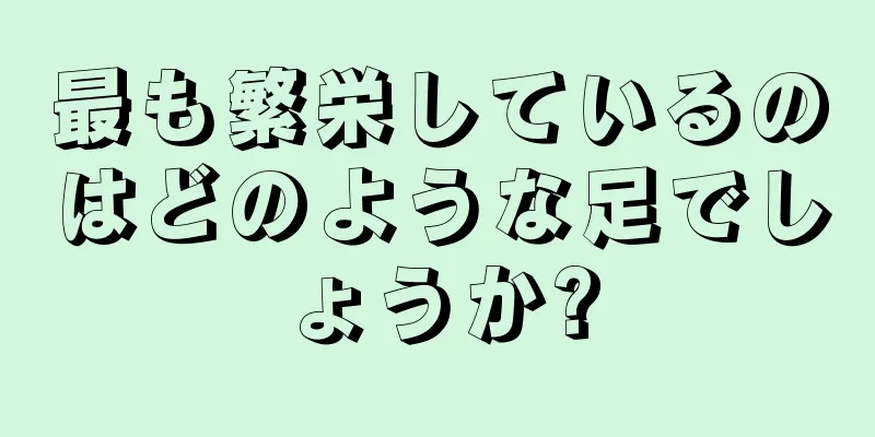 最も繁栄しているのはどのような足でしょうか?