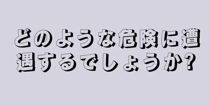 どのような危険に遭遇するでしょうか?