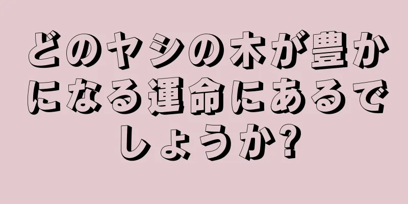 どのヤシの木が豊かになる運命にあるでしょうか?