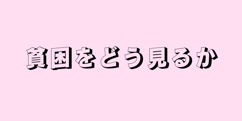 貧困をどう見るか