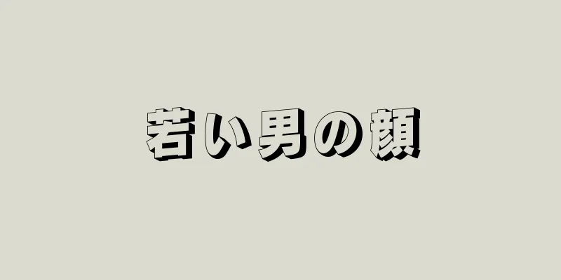 若い男の顔