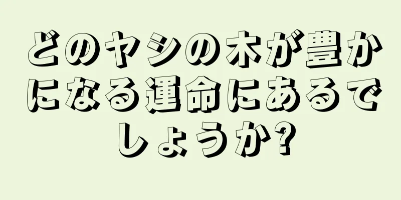 どのヤシの木が豊かになる運命にあるでしょうか?