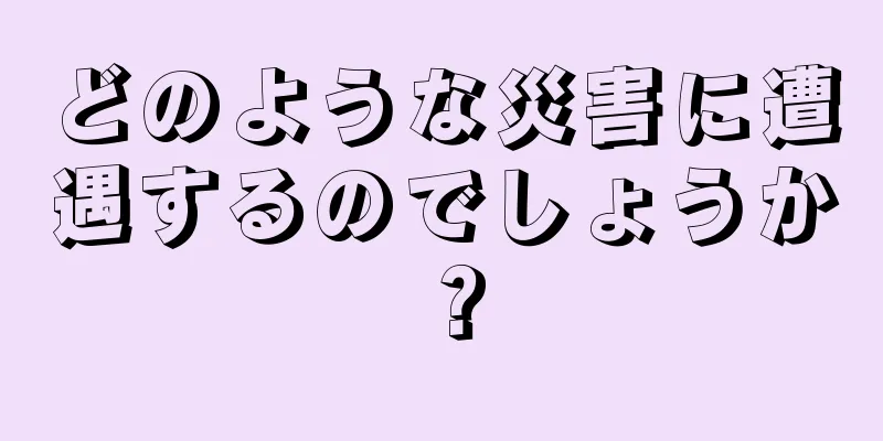 どのような災害に遭遇するのでしょうか？