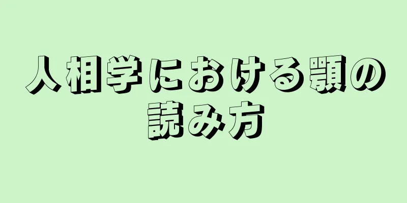 人相学における顎の読み方