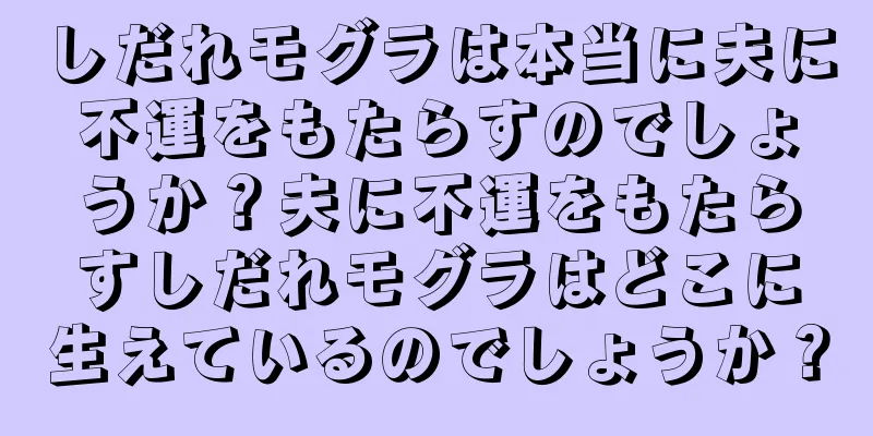 しだれモグラは本当に夫に不運をもたらすのでしょうか？夫に不運をもたらすしだれモグラはどこに生えているのでしょうか？