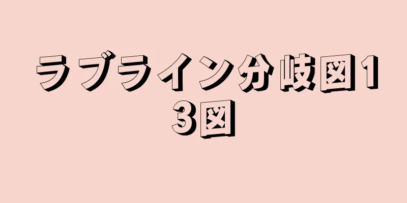 ラブライン分岐図13図