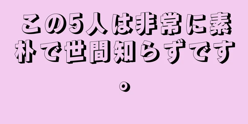 この5人は非常に素朴で世間知らずです。