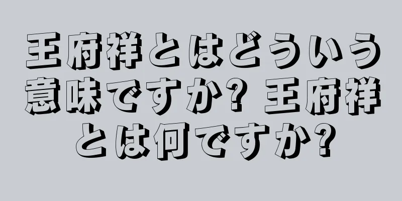 王府祥とはどういう意味ですか? 王府祥とは何ですか?