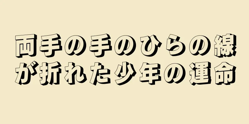 両手の手のひらの線が折れた少年の運命