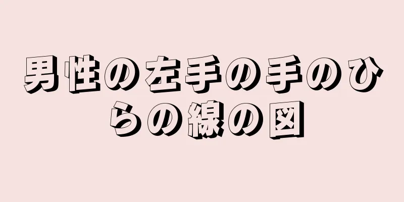 男性の左手の手のひらの線の図