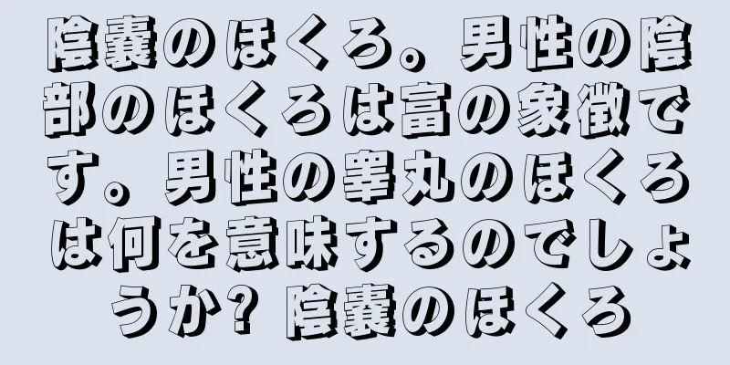 陰嚢のほくろ。男性の陰部のほくろは富の象徴です。男性の睾丸のほくろは何を意味するのでしょうか? 陰嚢のほくろ