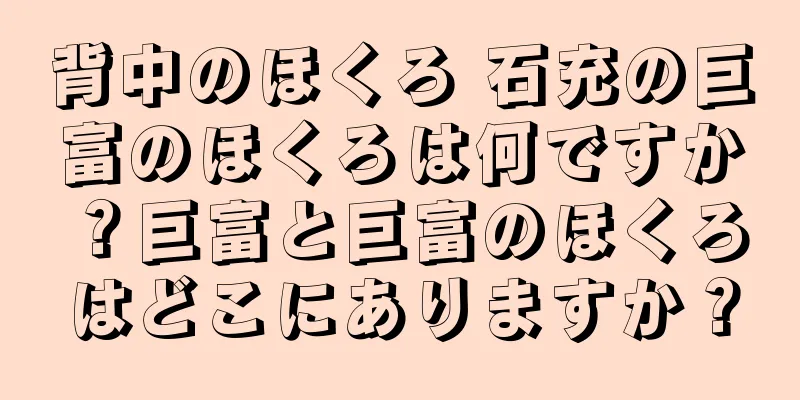 背中のほくろ 石充の巨富のほくろは何ですか？巨富と巨富のほくろはどこにありますか？