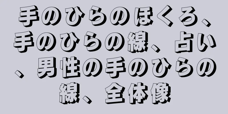 手のひらのほくろ、手のひらの線、占い、男性の手のひらの線、全体像