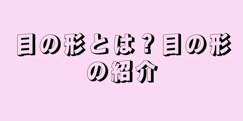 目の形とは？目の形の紹介