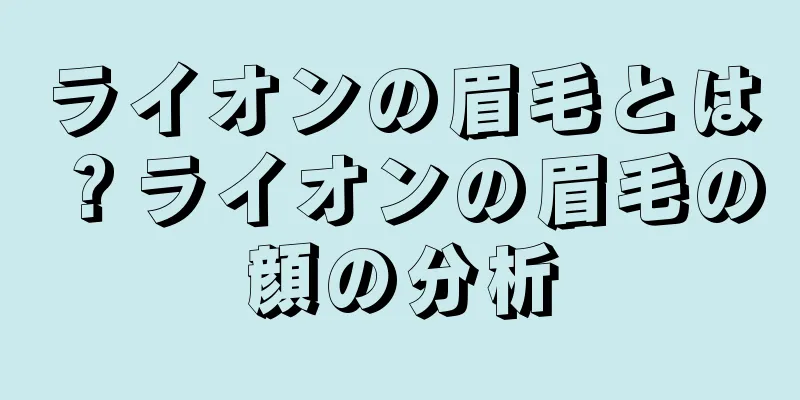 ライオンの眉毛とは？ライオンの眉毛の顔の分析