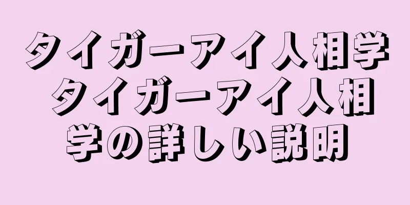 タイガーアイ人相学 タイガーアイ人相学の詳しい説明