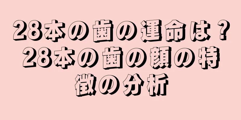 28本の歯の運命は？28本の歯の顔の特徴の分析