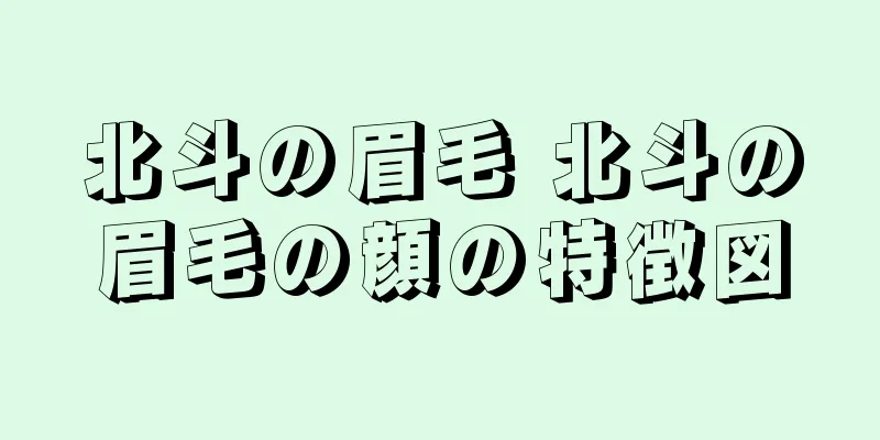 北斗の眉毛 北斗の眉毛の顔の特徴図