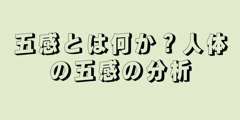 五感とは何か？人体の五感の分析