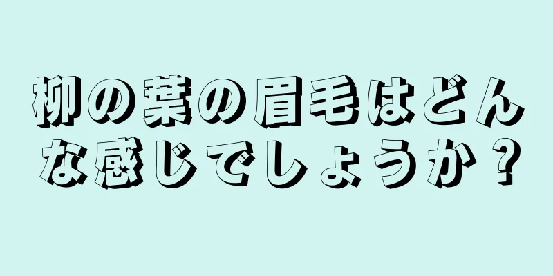 柳の葉の眉毛はどんな感じでしょうか？