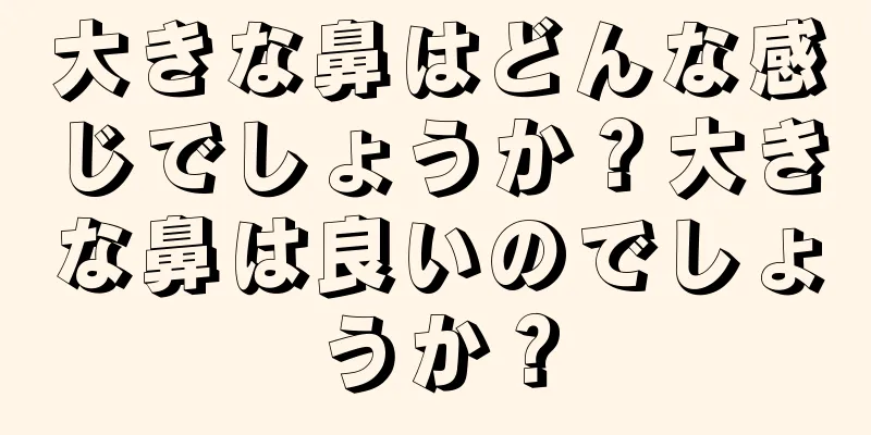 大きな鼻はどんな感じでしょうか？大きな鼻は良いのでしょうか？