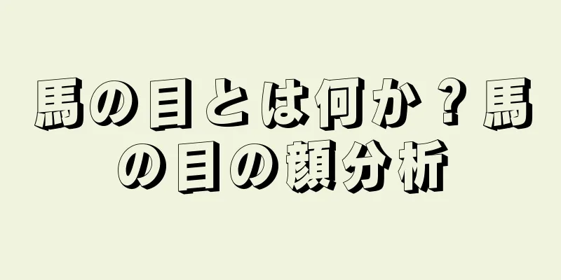 馬の目とは何か？馬の目の顔分析