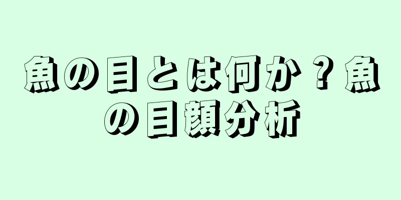 魚の目とは何か？魚の目顔分析