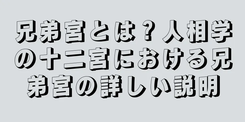 兄弟宮とは？人相学の十二宮における兄弟宮の詳しい説明