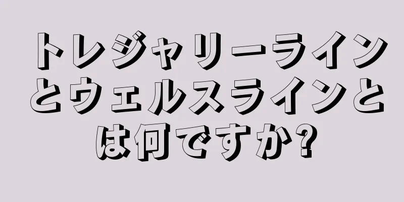 トレジャリーラインとウェルスラインとは何ですか?