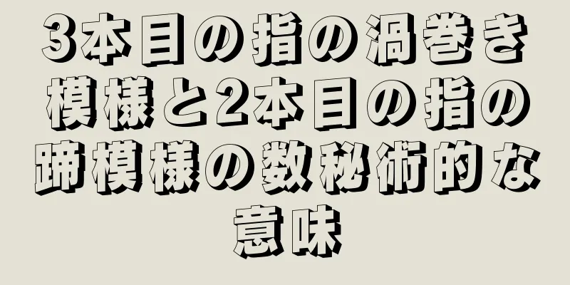 3本目の指の渦巻き模様と2本目の指の蹄模様の数秘術的な意味