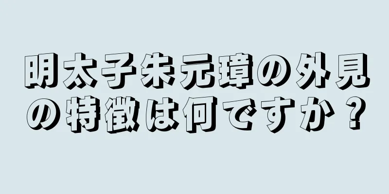 明太子朱元璋の外見の特徴は何ですか？